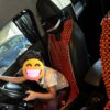 Seat Beads Full Installed